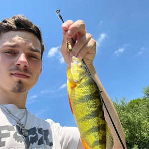 Meet your Posher, Daniel